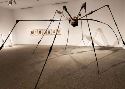 Louise Bourgeois - Spider (1994)