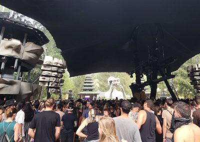 Swamp stage opening