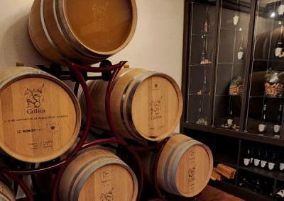 Griffin Winery Croatia - Wine tasting tour Samobor